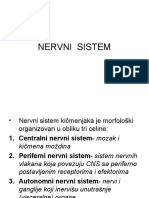 Nervni Sistem