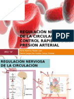 Regulación Nerviosa de La Circulación y Control Rápido de La Presion Arterial