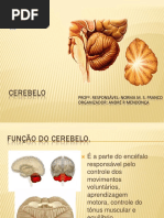 06_cerebelo.pdf
