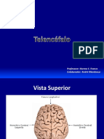 09_telencefalo.pdf