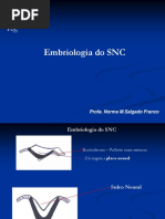 10_embriologia_do_sn.pdf
