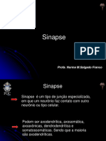 02_sinapse.pdf