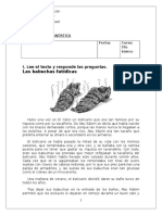 EVALUACIÓN DIAGNÓSTICA 5to Básico