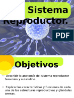 Aparato_Reproductor 2013