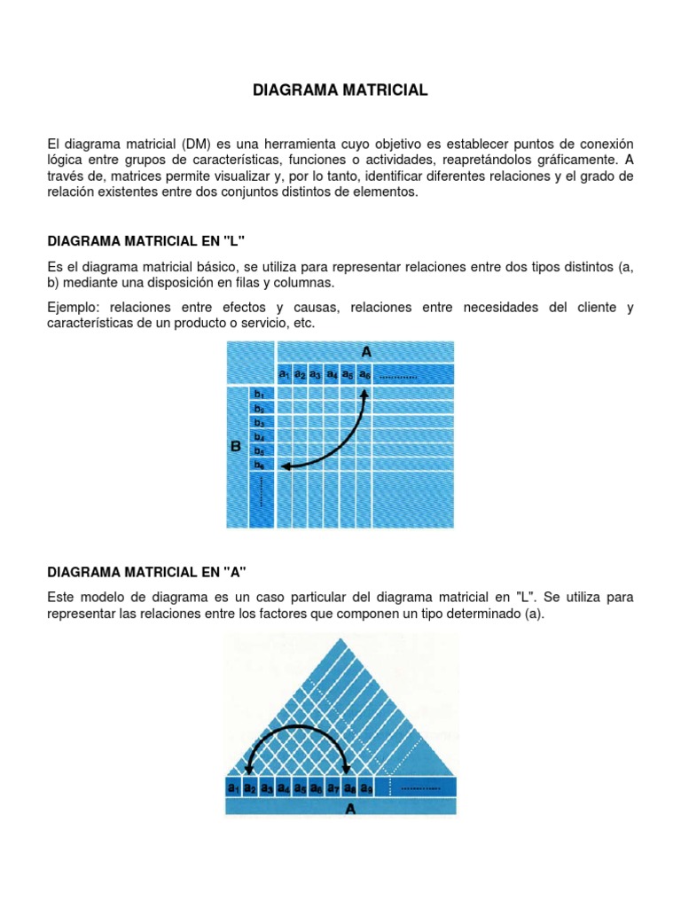 Tipos y Ejemplos de Diagramas Matriciales | PDF | Matriz (Matemáticas ...