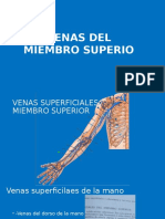 Venas Del Miembro Superio