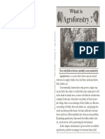 4 Agroforestry PDF