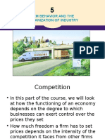 Firm Behavior and Industry Competition