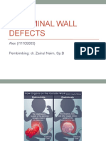 Abdominal Wall Defects