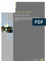 Icmp & Igmp