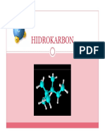 HIDROKARBON.pdf