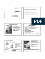 1_Fundamentos_del_apego (1).pdf