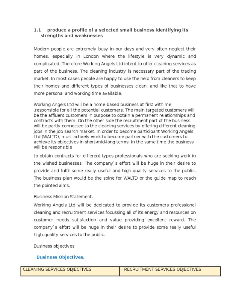 Business plan assignment examples image