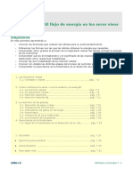 flujo de energia de seres vivos.pdf