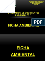 Ficha Ambiental 2012