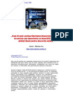 Succesul Online in 24 de Pasi Sau 7 Zile PDF