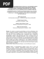 Barros Correa_mapeamento Geomorfológico