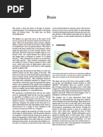Brain