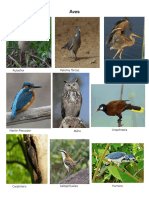 Álbum de Aves Peces, Anfibios y Reptiles