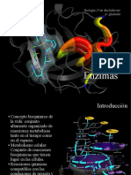 Tema 5 Enzimas Presentacion PDF