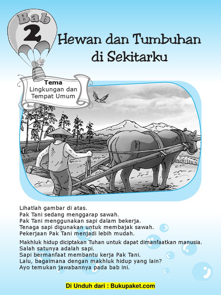 Bab 2 Hewan  Dan Tumbuhan Di  Sekitar  Kita  1 