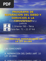 PROGRAMA DE REPARACION DEL DAÑO Y SERVICIOS A.ppt