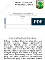 Cakram Mudigah Bilaminer