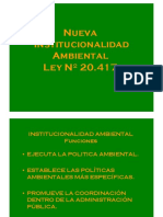 B - Nueva Institucionalidad PDF