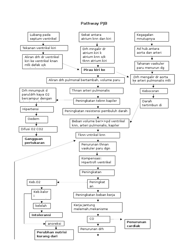 Pathway PJB | PDF