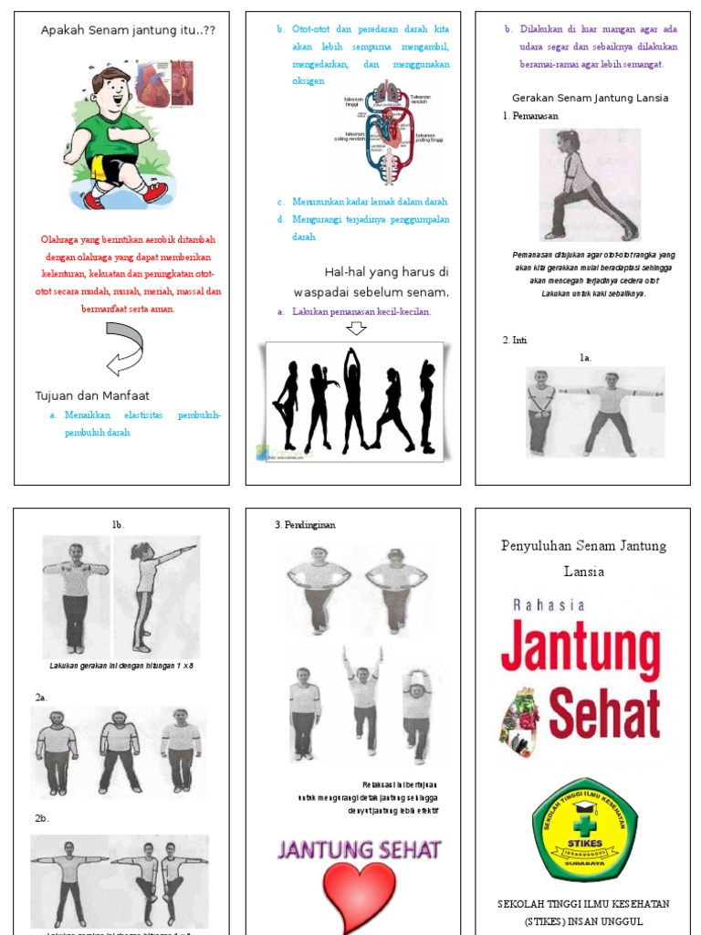 gerakan senam lansia download Senam lansia bugar for android apk download.
