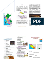 TRIPTICO Departamento de Ica y Libertad