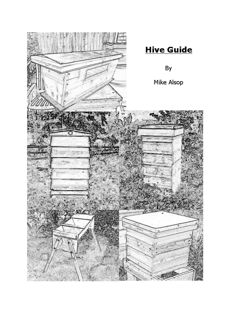 Hive Guide (Different hive types).pdf Beehive Beekeeping
