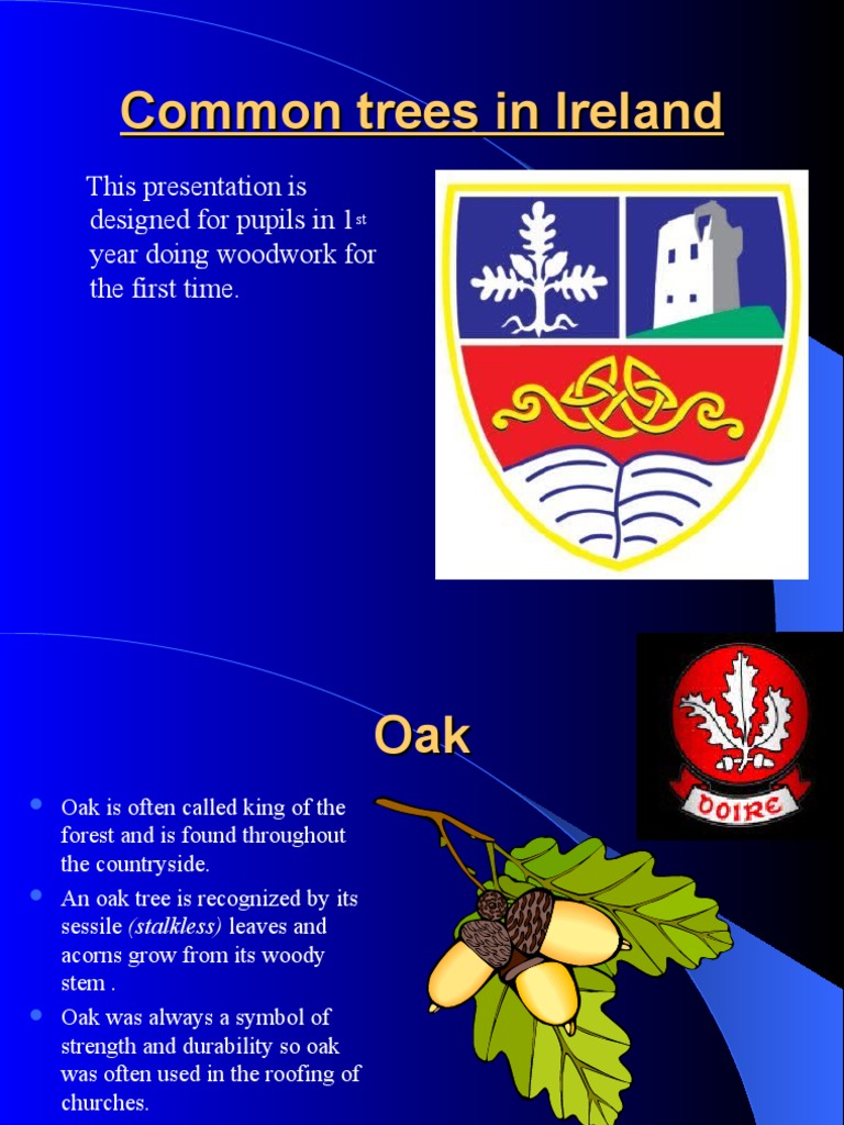 common trees in ireland Hedge Oak