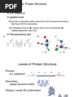 Previous Lecture: Protein Structure: Primary A.A. Sequence Peptide Bond