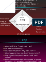 Sleep: (1) Developmental (Socialization)