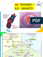 Clase 10 - Trombo - Embolo - Infarto