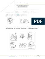 Evaluacion Diagnostica Ciencias 1basico 2012