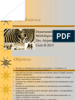 Caja Toracica.pdf