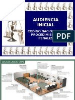 298930508-AUDIENCIA-INICIAL