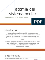 Anatomía Del Sistema Ocular