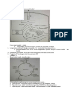 Biologi Ocid