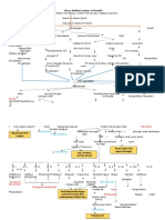 PATHWAY Ensefalitis