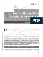 Neuropsicología Del Desarrollo Infantil 2