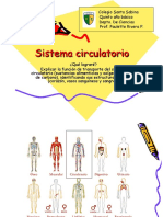 Sistema circulatorio, 5to.ppt