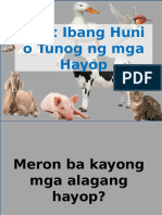 Iba't Ibang Tunog o Huni NG Mga Hayop