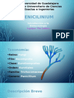 Penicillium Finished