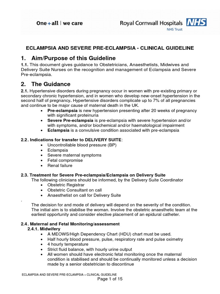 Pre Eclampsia Eclampsia Guideline For The Management of Severe | PDF ...