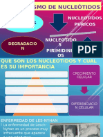 Metabolismo de Nucleótidos