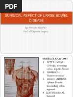 Download Surgical Aspect of Large Bowel Pptx by Cindy S Berlian SN323245049 doc pdf