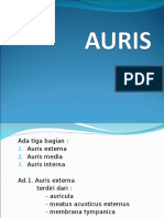 AURIS 1